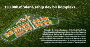 Altındağ’a 350 Bin Metrekarelik Dev Sokak Hayvanları Yaşam ve Rehabilitasyon Merkezi_Siteler TV
