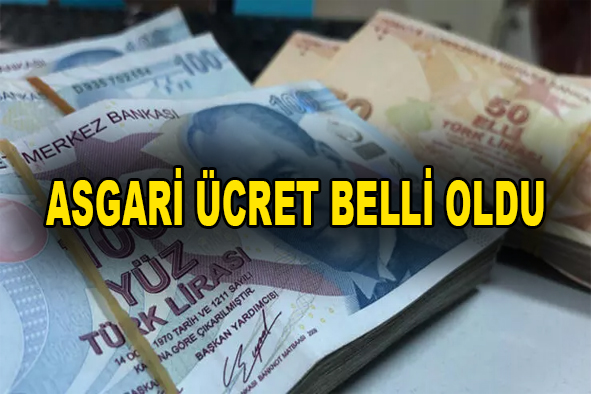 YENİ ASGARİ NE KADAR OLDU_SİTELER TV