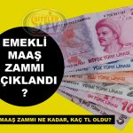 EMEKLİ MAAŞ ZAMMI_SİTELER TV