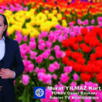 Murat Yılmaz Kurt Anneler Günü Mesajı_Siteler TV