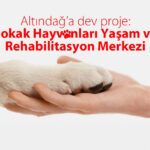 Altındağ’a 350 Bin Metrekarelik Dev Sokak Hayvanları Yaşam ve Rehabilitasyon Merkezi_Siteler TV