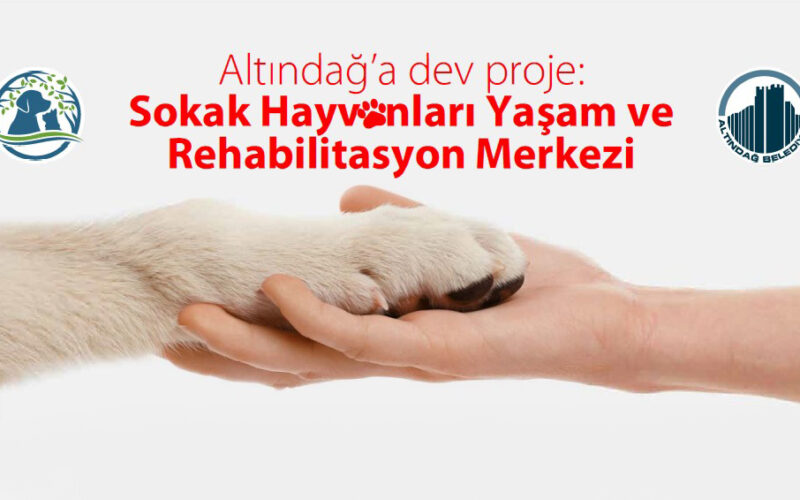 Altındağ’a 350 Bin Metrekarelik Dev Sokak Hayvanları Yaşam ve Rehabilitasyon Merkezi_Siteler TV