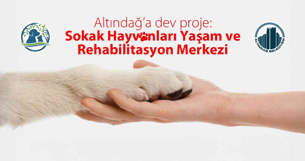 Altındağ’a 350 Bin Metrekarelik Dev Sokak Hayvanları Yaşam ve Rehabilitasyon Merkezi_Siteler TV