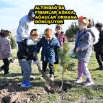 ALTINDAĞ'DA FİDANLAR AĞACA, AĞAÇLAR ORMANA_SİTELER TV