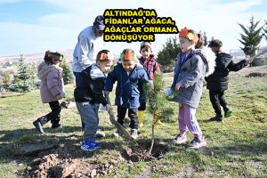 ALTINDAĞ'DA FİDANLAR AĞACA, AĞAÇLAR ORMANA_SİTELER TV