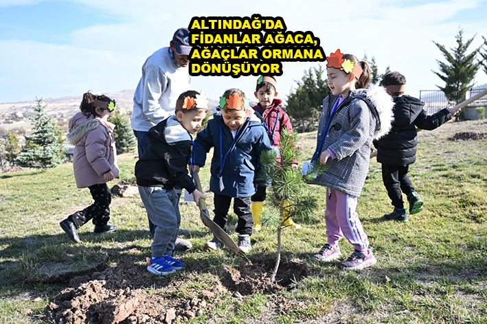 ALTINDAĞ’DA FİDANLAR AĞACA, AĞAÇLAR ORMANA…2025
