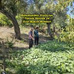 Belediyeden Üreticiye Teknik Destek ve Özel Bakım Rehberi_Siteler TV