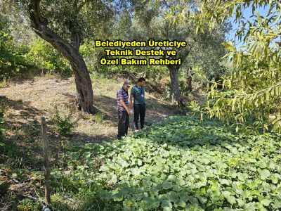 Belediyeden Üreticiye Teknik Destek ve Özel Bakım Rehberi_Siteler TV