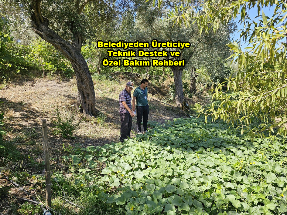 Belediyeden Üreticiye Teknik Destek ve Özel Bakım Rehberi …2025