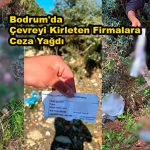 Bodrum'da Çevreyi Kirleten Firmalara Ceza Yağdı_Siteler TV