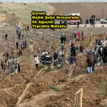 Çorum Nadık Şehir Ormanı’nda İlk Ağaçlar_Siteler TV