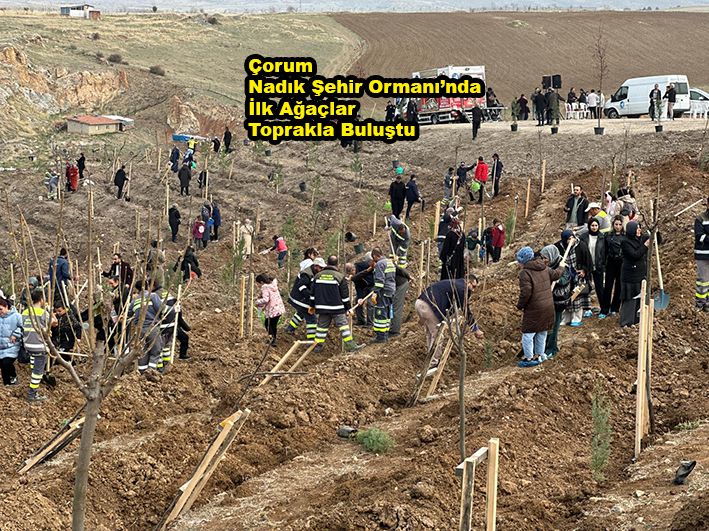 Çorum Nadık Şehir Ormanı’nda İlk Ağaçlar…2025