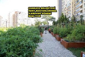ÇANKAYA BELEDİYESİ KENT BOSTANLARINDA İLKBAHAR DÖNEMİ BAŞLIYOR_SİTELER TV