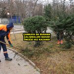 ÇANKAYA DA BUDAMA ÇALIŞMALARI BAHAR ÖNCESİ HIZ KAZANDI_Siteler TV