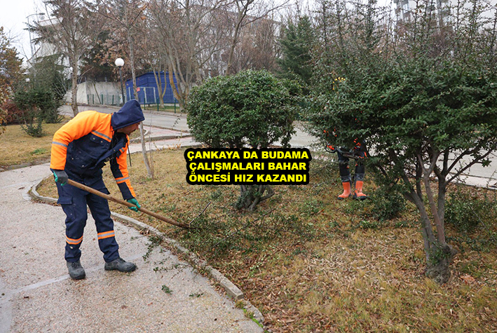 ÇANKAYA DA BUDAMA ÇALIŞMALARI BAHAR ÖNCESİ HIZ KAZANDI_Siteler TV