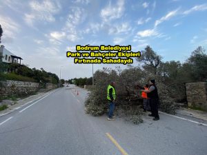 Bodrum Belediyesi Park ve Bahçeler Ekipleri Fırtınada Sahadaydı_Siteler TV