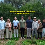 Bodrum Mandalin Üreticisine 5 Milyon Kazanç_Siteler TV