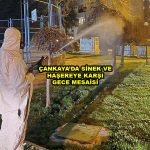 ÇANKAYA DA SİNEK VE HAŞEREYE KARŞI GECE MESAİSİ_Siteler TV