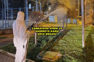 ÇANKAYA DA SİNEK VE HAŞEREYE KARŞI GECE MESAİSİ_Siteler TV