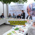 ÇORUM BELEDİYE BAŞKANI AŞGIN, ESNAFLA ÜZÜM HASADINDA BULUŞTU_Siteler TV