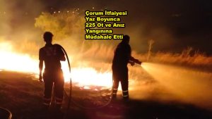 Çorum İtfaiyesi Yaz Boyunca 225 Ot ve Anız Yangınına Müdahale Etti_Siteler TV