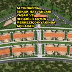 ALTINDAĞ'DA SOKAK HAYVANLARI YAŞAM VE REHABİLİTASYON MERKEZİ_SİTELER TV