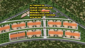 ALTINDAĞ'DA SOKAK HAYVANLARI YAŞAM VE REHABİLİTASYON MERKEZİ_SİTELER TV