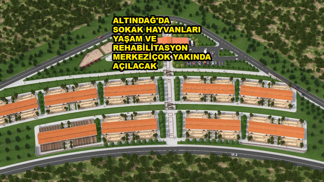 ALTINDAĞ'DA SOKAK HAYVANLARI YAŞAM VE REHABİLİTASYON MERKEZİ_SİTELER TV